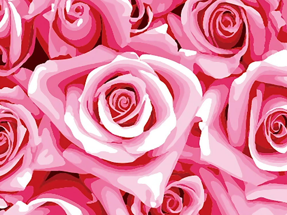 Fondo Bonito de Rosas Rosadas Pintar por Números