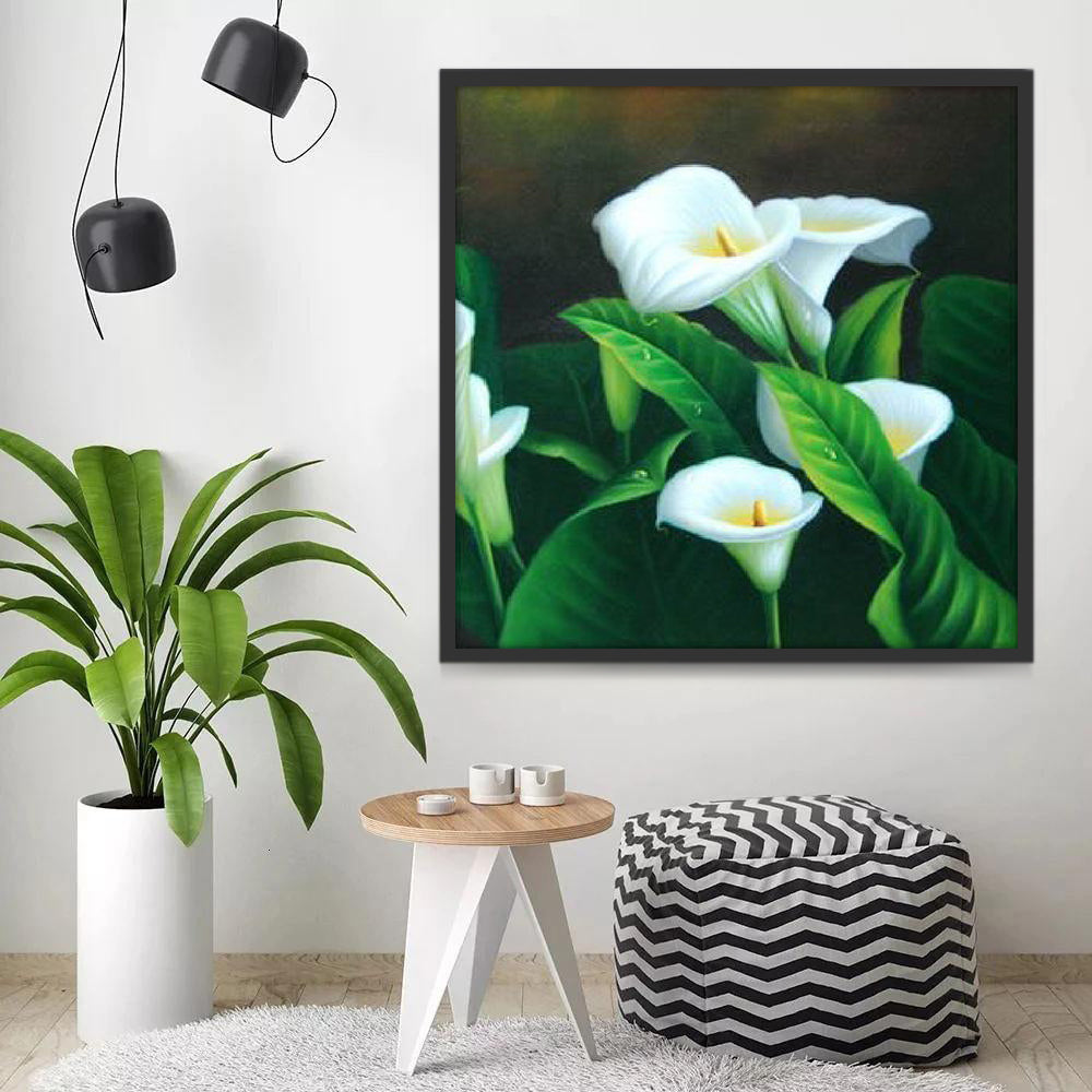 Fondo de Lirios de Calla con Gotas de Agua Pintar por Números