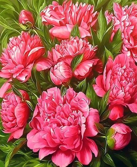 Fondo Floral con Peonías Rosadas con Hojas Verdes Pintar por Números