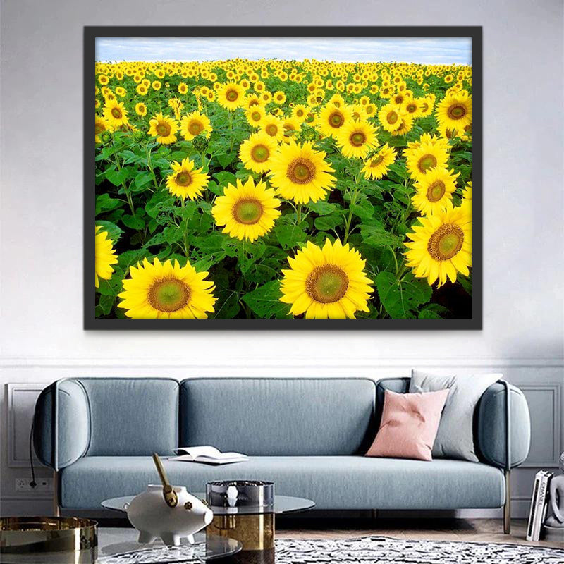 Fondo Floral de Campo Enorme de Girasoles Pintar por Números