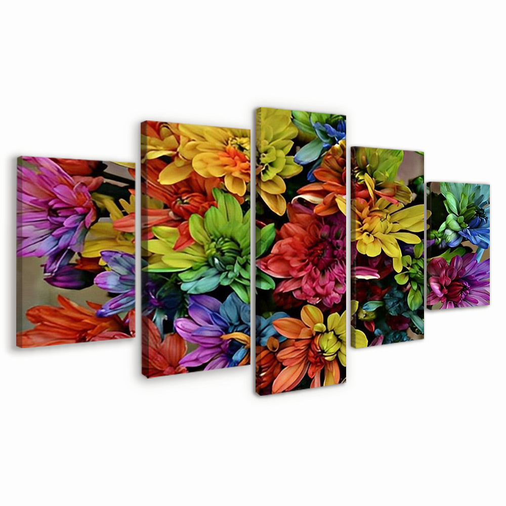Fondo Floral de Crisantemos de Color Arcoíris 5 Partes Pintar por Números