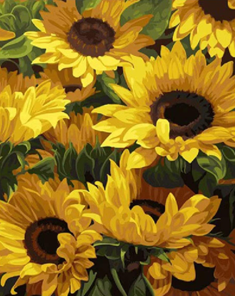 Fondo Floral de Girasoles Hermosos Pintar por Números