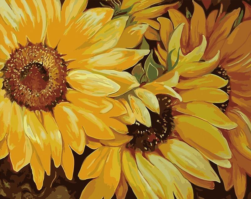 Fondo Floral de Girasoles Pintados al Óleo Pintar por Números