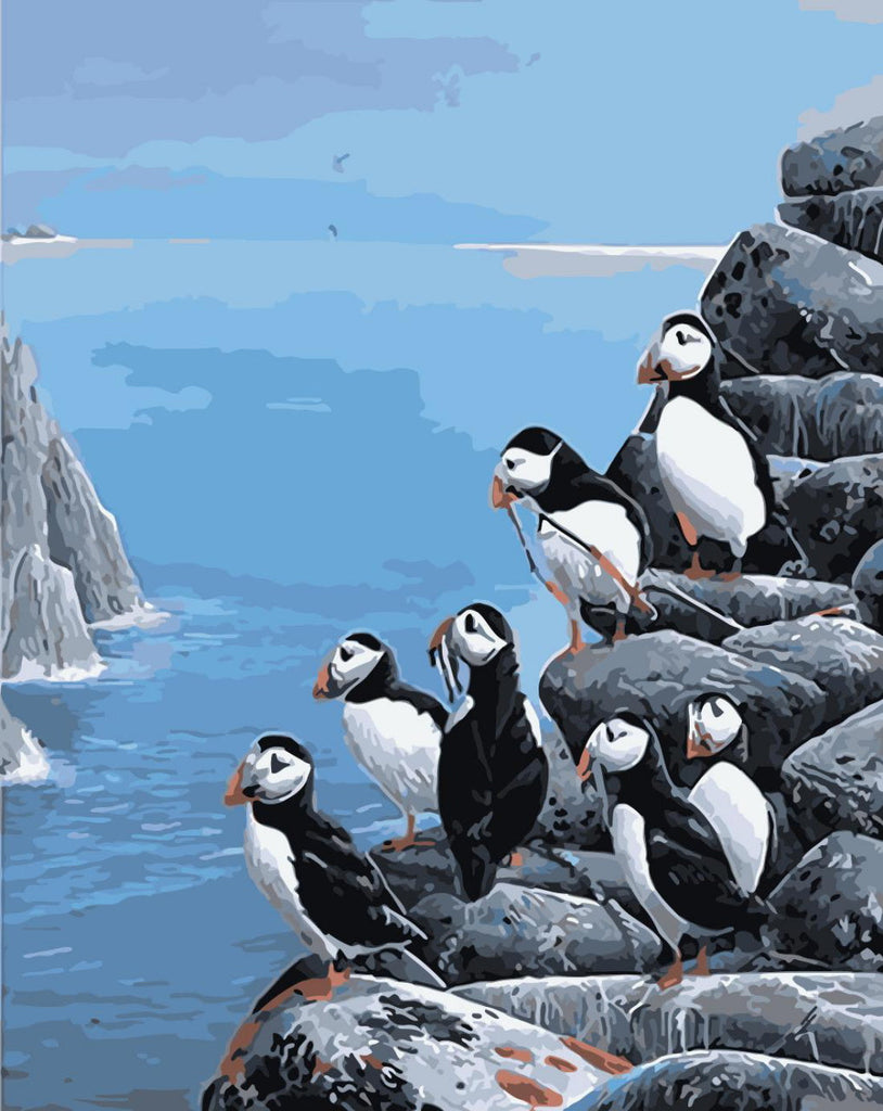 Frailecillos sobre Rocas Marinas Pintar por Números