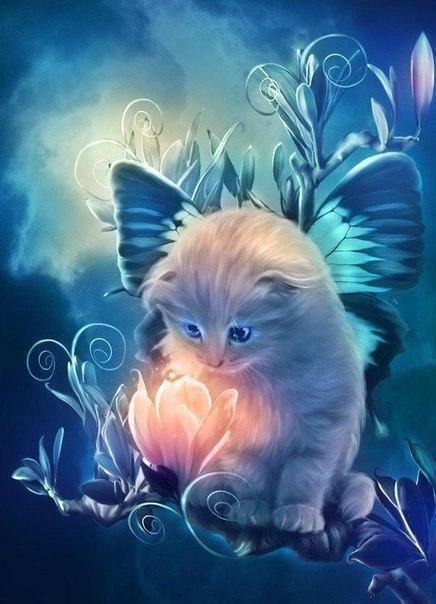 Gatito Mirando una Flor Brillante en la Noche Pintar por Números