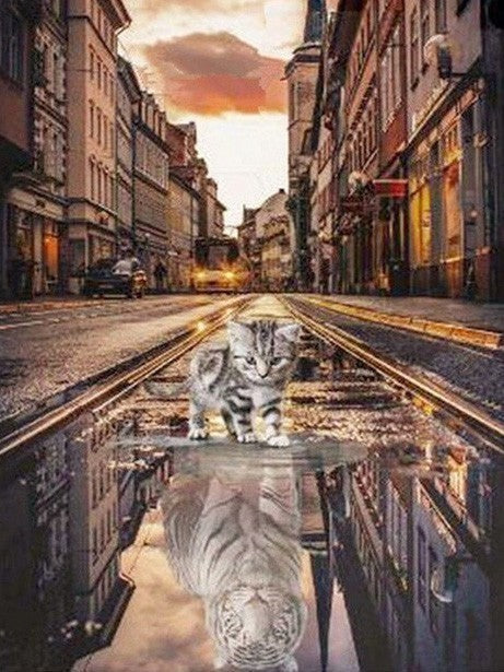 Gatito y Tigre en el Agua de Calle Pintar por Números