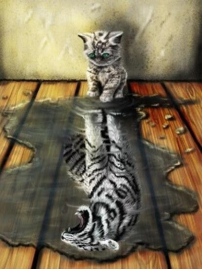 Gatito y Tigre en el Agua Pintar por Números