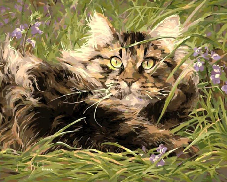 Gato Acostado en el Césped Pintar por Números