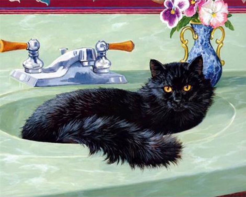 Gato Acostado en el Lavamanos Pintar por Números