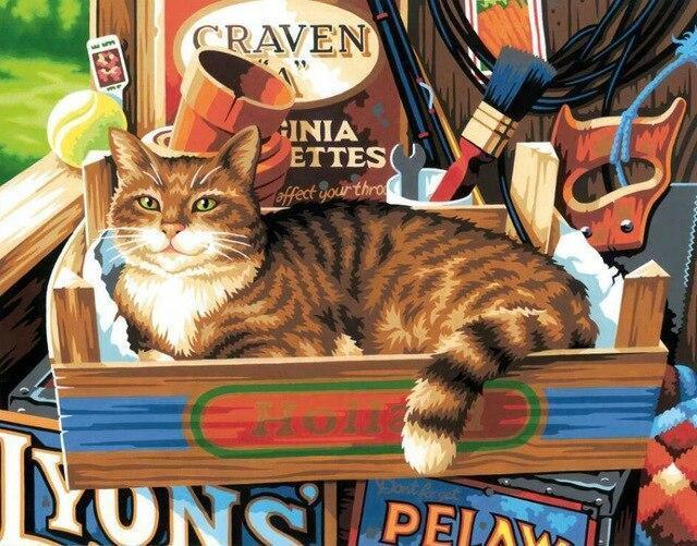 Gato Acostado en una Caja de Madera Pintar por Números