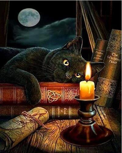 Gato Acostado sobre los Libros Observando la Candela Pintar por Números