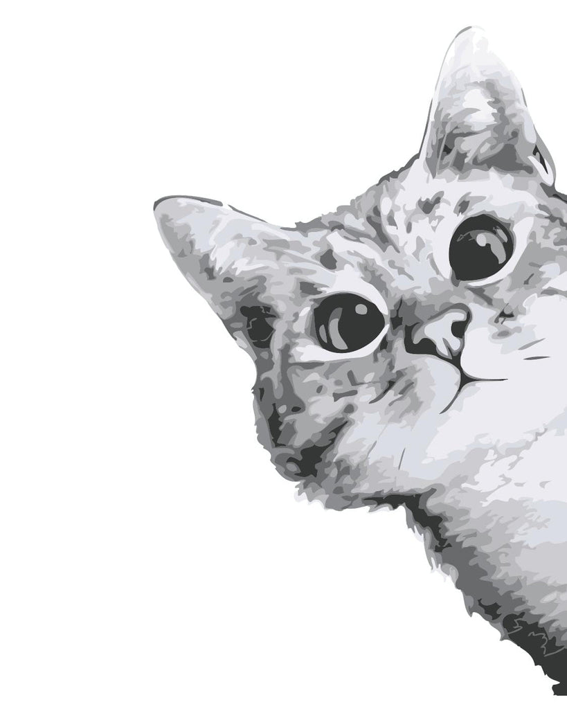 Gato Adorable en Blanco y Negro Pintar por Números