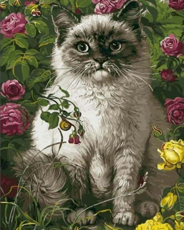 Gato Blanco Sentado en Las Flores Pintar por Números