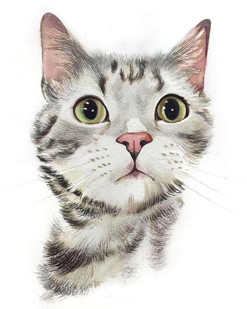 Gato Blanco y Negro con los Ojos Verdes Pintar por Números