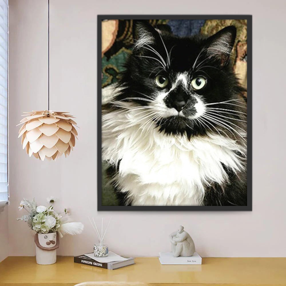 Gato Blanco y Negro Pintar por Números
