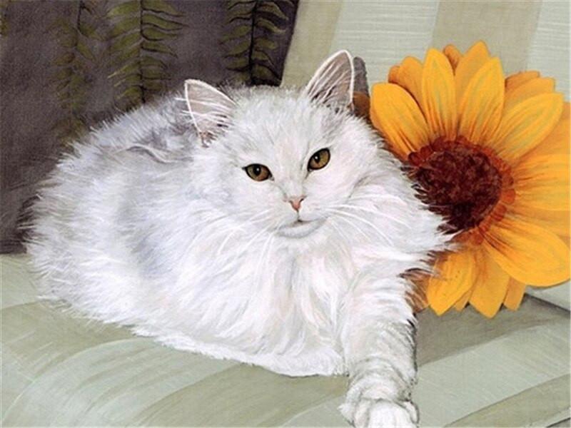 Gato Blanco y un Girasol Pintar por Números