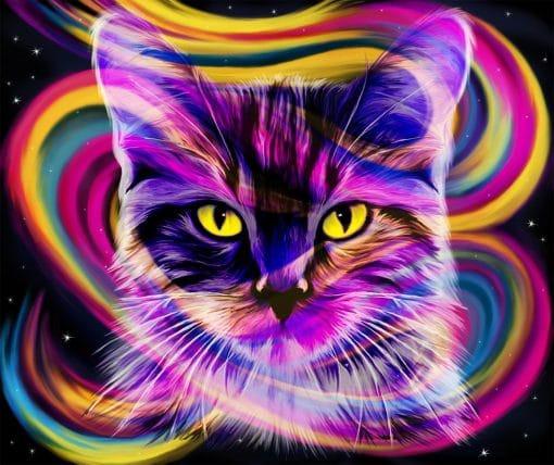 Gato Colorido Pintar por Números