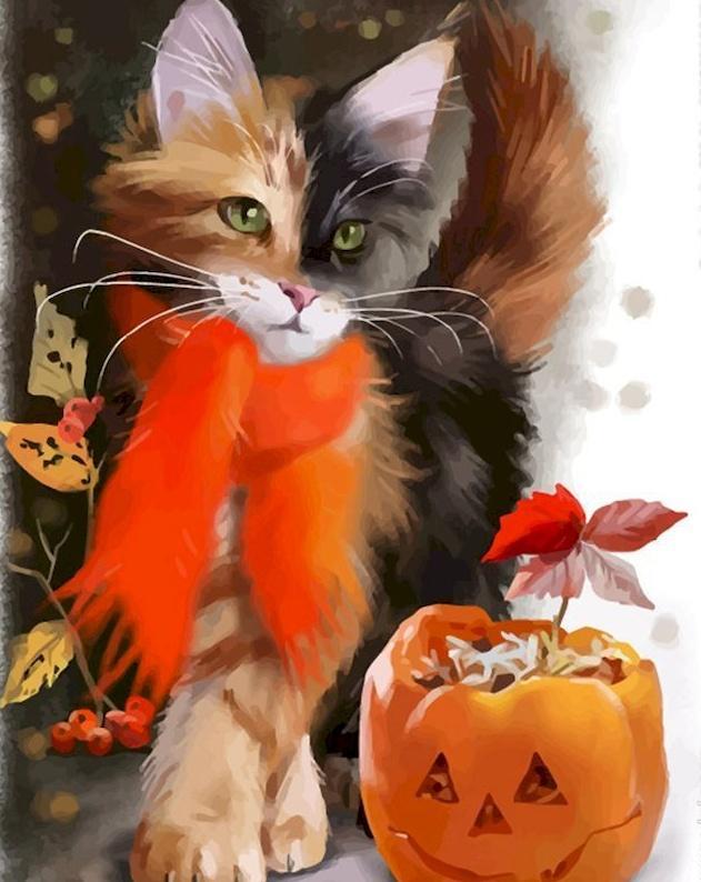 Gato con Bufanda y Calabaza de Halloween Pintar por Números