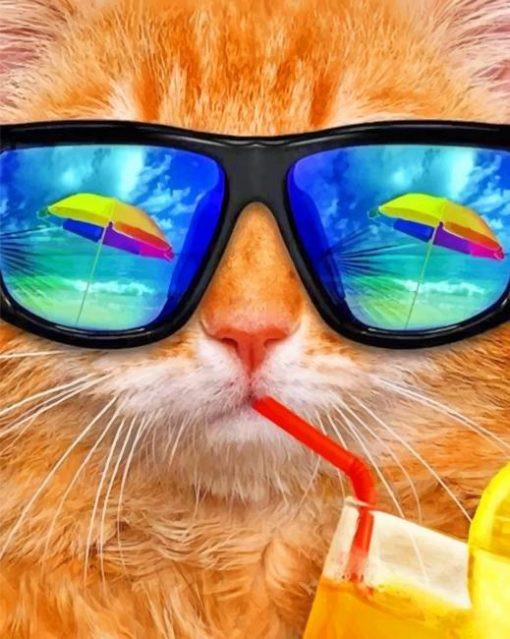 Gato con Gafas de Sol Pintar por Números