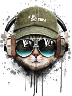 Gato con Gafas de Sol y Gorra de Béisbol y Auricular Inalámbrico Pintar por Números