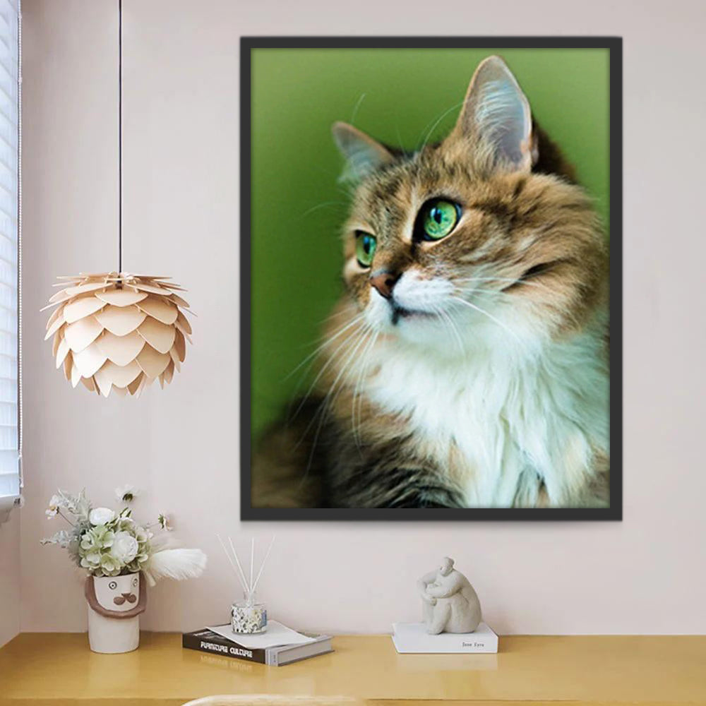 Gato con los Ojos Verdes Pintar por Números