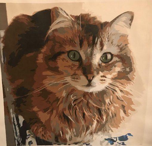 Gato con los Ojos Verdes Pintar por Números