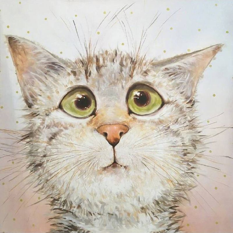 Gato con los Ojos Verdes Pintar por Números