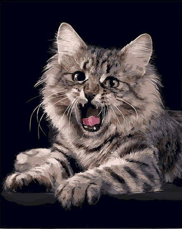 Gato con Rayas Blancas y Negras en el Fondo Negro Pintar por Números