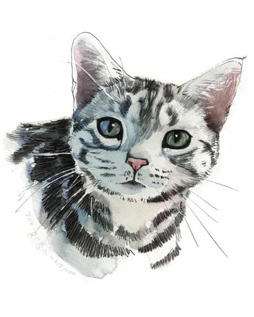 Gato con Rayas Blancas y Negras Pintar por Números