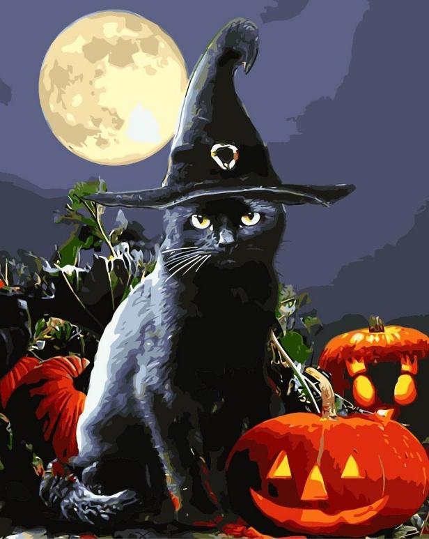 Gato con Sombrero de Bruja y Calabaza de Halloween Pintar por Números