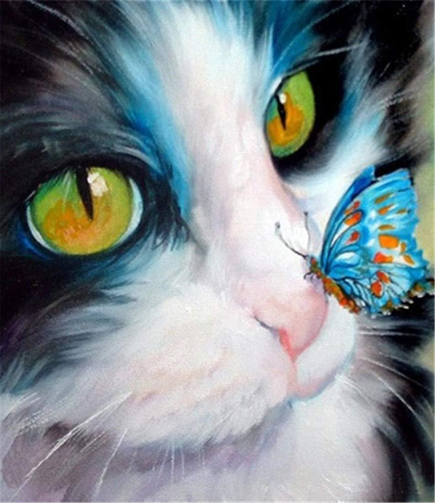 Gato con una Mariposa Azul en Su Nariz Pintar por Números