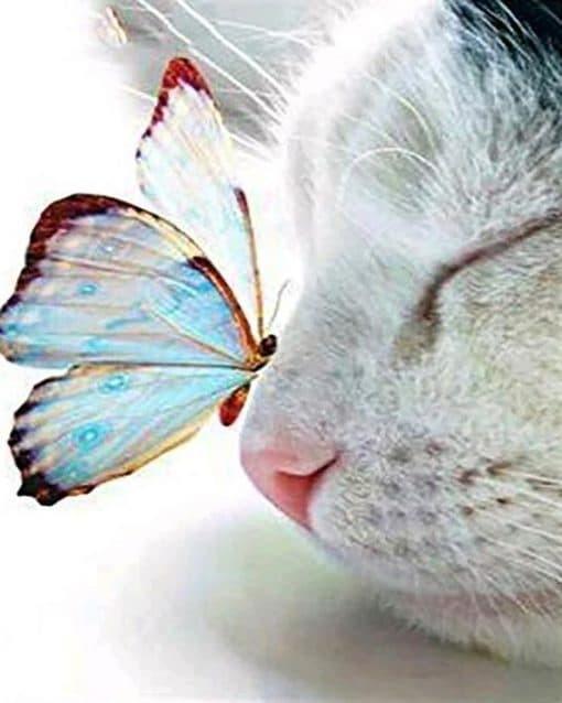 Gato con una Mariposa en Su Nariz Pintar por Números