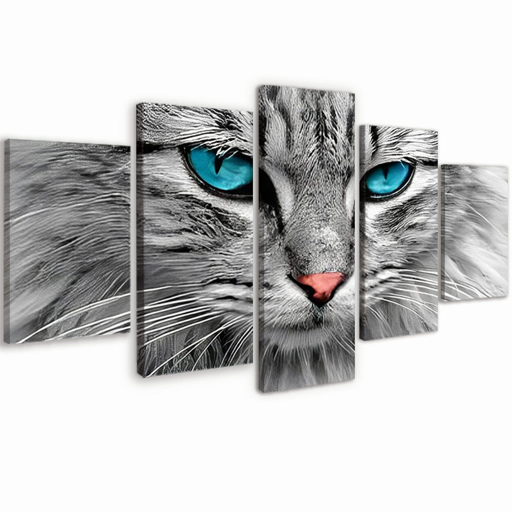Gato de los Ojos Azules 5 Partes Pintar por Números