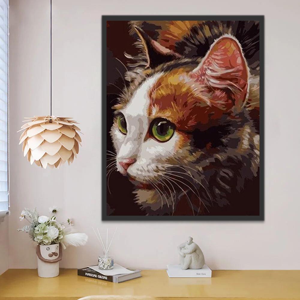 Gato de Tres Colores Pintar por Números