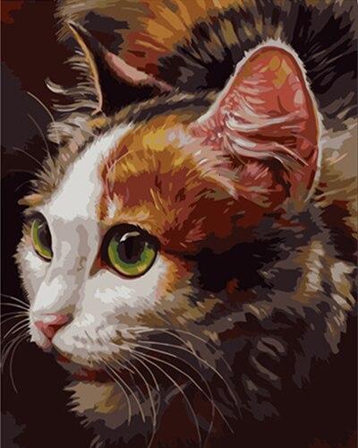 Gato de Tres Colores Pintar por Números