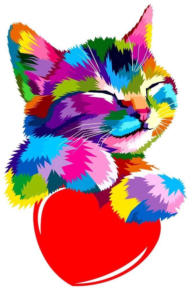 Gato Dormido en Color Pintar por Números