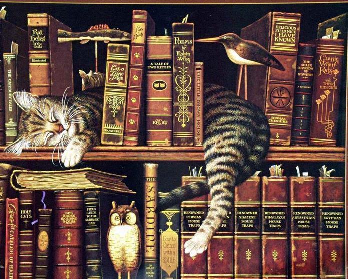 Gato Dormido en La Estantería Pintar por Números