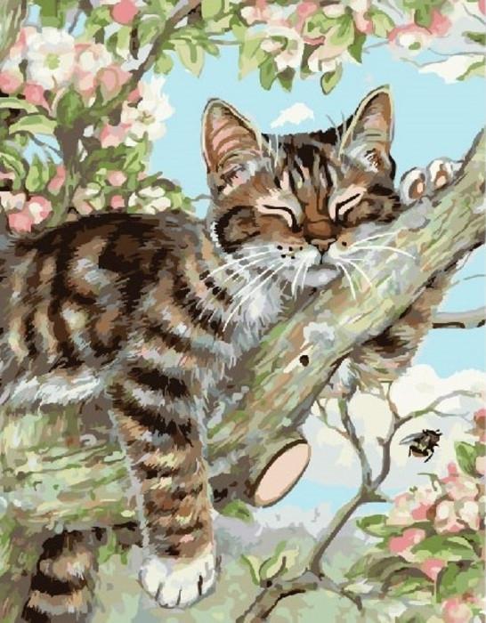 Gato Durmiendo en el Árbol Pintar por Números