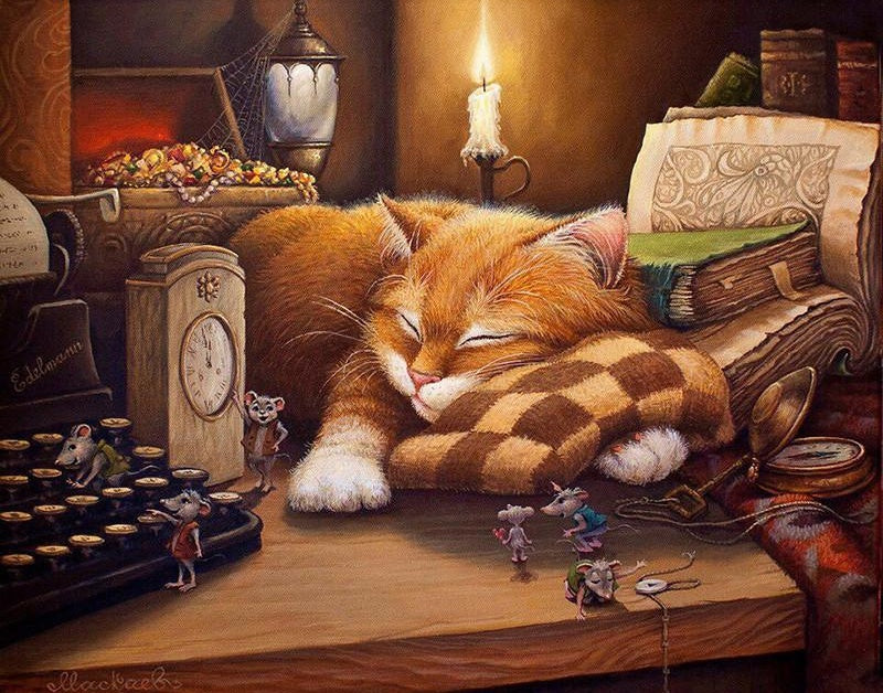 Gato Durmiendo en un Cuarto Mágico Pintar por Números