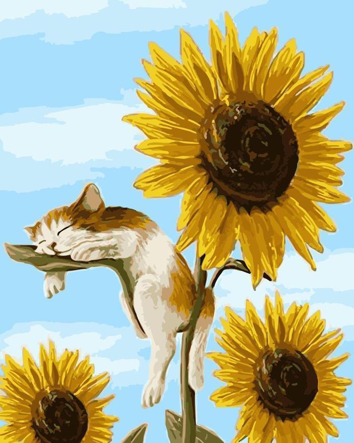 Gato Durmiendo sobre un Girasol Pintar por Números