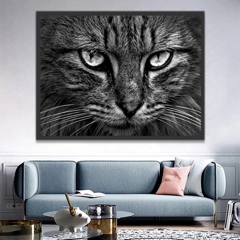 Gato en Blanco y Negro Pintar por Números