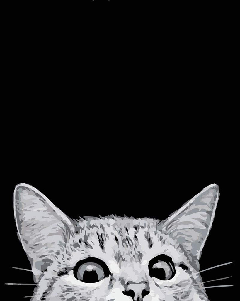 Gato en Blanco y Negro Pintar por Números