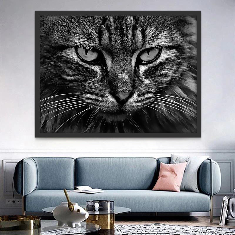 Gato en Blanco y Negro Pintar por Números