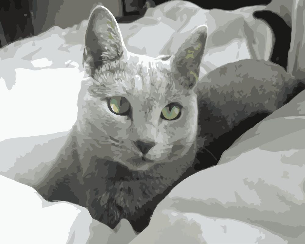 Gato en Blanco y Negro Pintar por Números