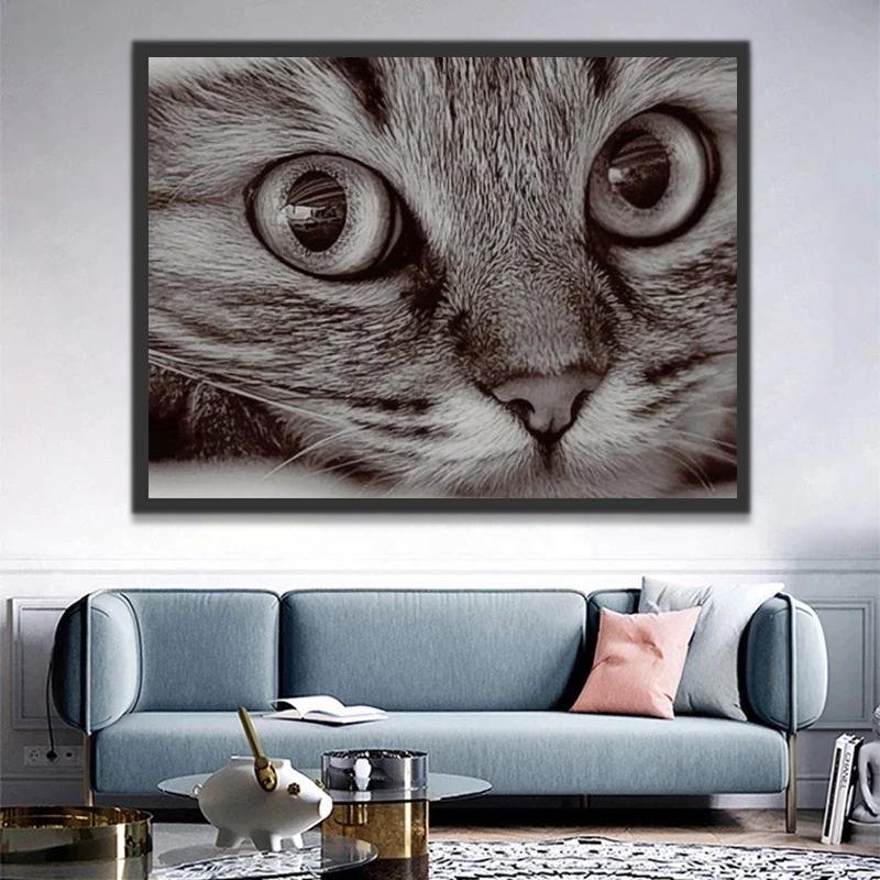 Gato en Blanco y Negro Pintar por Números