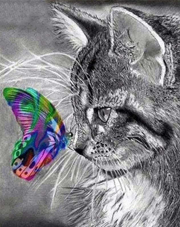 Gato en Blanco y Negro Tocando Mariposa en Color Pintar por Números