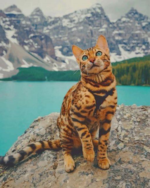 Gato en la Cima de Montaña Pintar por Números