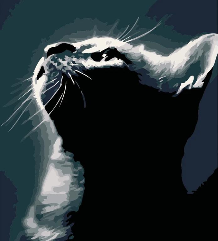 Gato en la Luz Pintar por Números