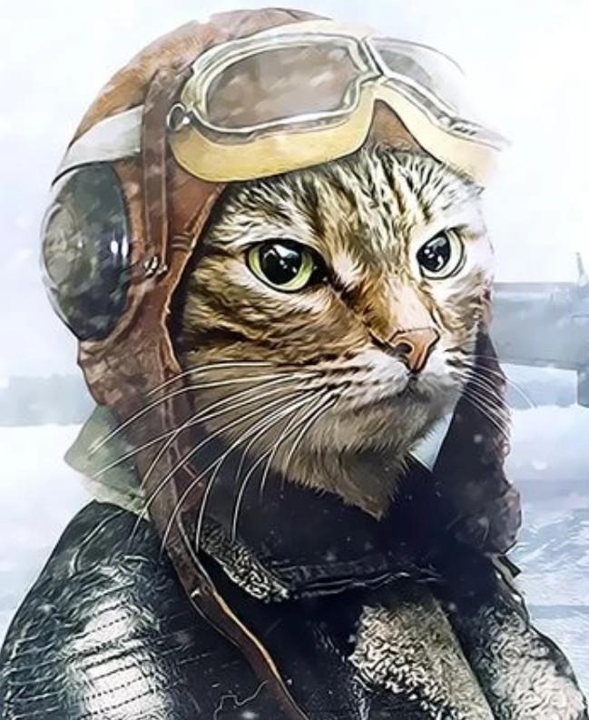 Gato en Traje de Piloto Pintar por Números