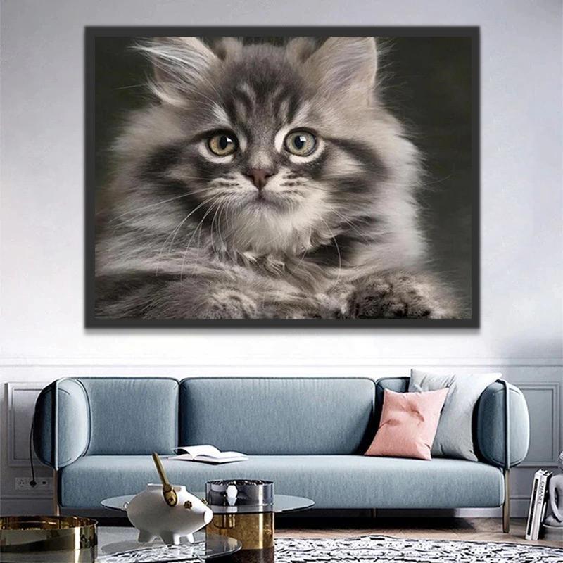 Gato Gris Adorable Pintar por Números